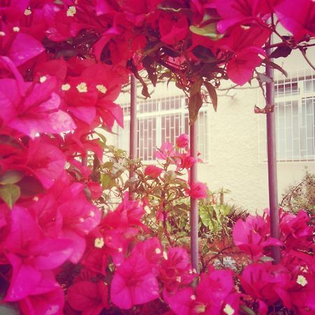 Hostel Nossa Casa Florianópolis Екстериор снимка