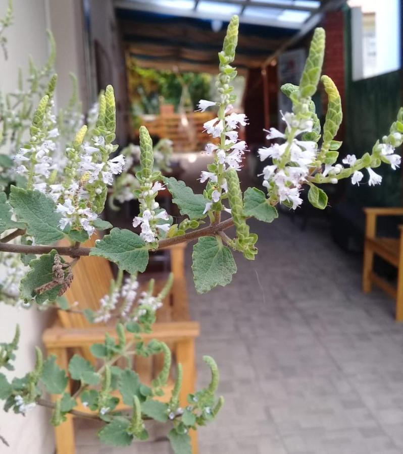 Hostel Nossa Casa Florianópolis Екстериор снимка